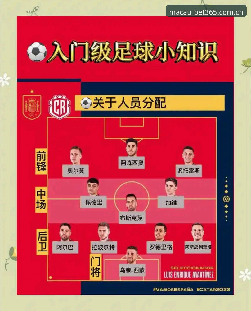 BET365体育赛事手机版实用指南：从新手到达人的必备知识